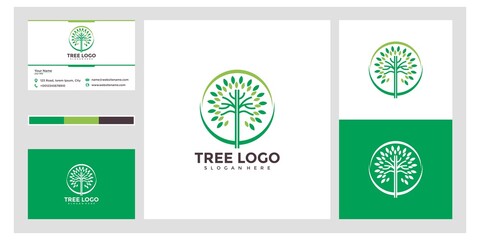 Fototapeta na wymiar Tree logo design and business card