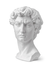 Plaster bust of David
