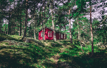 Red swedish house in green forest on small islands in the archipelago of Stockholm, Sweden
