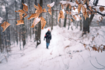 Wandern im Schnee im Wald auf der Schwäbischen Alb