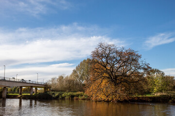 Visit park in autumn in my city Burton on trent England, walking on river