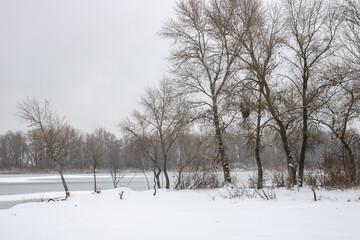 Fototapeta na wymiar Winter on the river winter landscape
