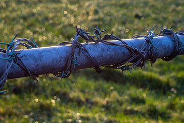 barbed wire fence