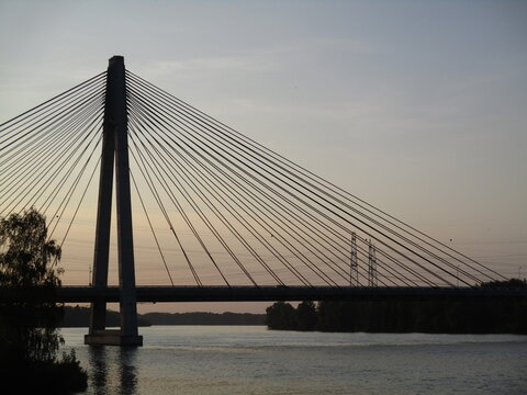Rosenbr&uuml;cke Tulln Detail