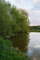 Fototapeta na wymiar Spring morning by the pond. East Moravia. Czech Republic. Europe. 