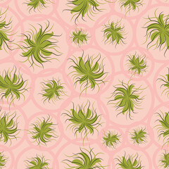 Airplants living wall seamless vector pattern in pink and green. Botanical surface print design for fabrics, stationery, scrapbook paper, gift wrap, home decor, wallpaper, textiles, and packaging.