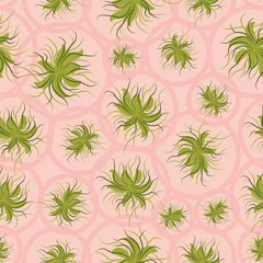 Foto op Aluminium Airplants levende muur naadloze vector patroon in roze en groen. Botanisch oppervlaktedrukontwerp voor stoffen, briefpapier, plakboekpapier, cadeaupapier, woondecoratie, behang, textiel en verpakkingen. © rysunki.malunki
