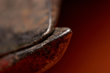 macro photograph of a pruning shears tip