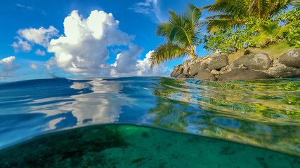 Obraz premium Underwater life