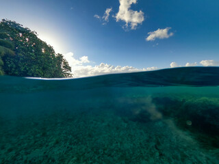 Underwater life