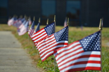 Line of American flags