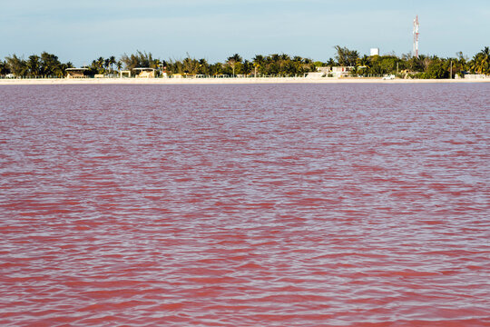 Mexico, Yucatan, Las Coloradas, Shore of red saline lake