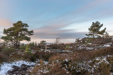 Hiking or jogging trails through the forests of Sweden with wonderful views
