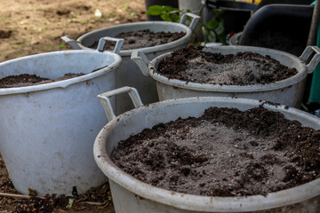 Buckets with fertilized earth and with products for plant health. Land fertilized in buckets for...