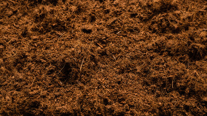 Coconut substrate background.
