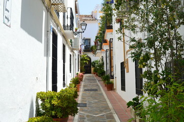 Fototapeta na wymiar Alley in Malaga, Spain