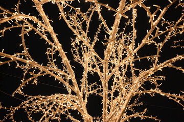 luminous tree of garlands in the park