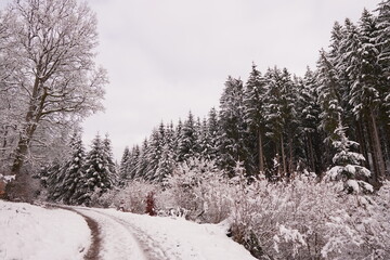 Einsamer Wanderweg im Schnee
