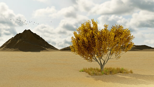 einzelner Baum in einer kargen, wüstenartigen Landschaft - grüne Mauer für Afrika - Ausbreitung der Wüste stoppen