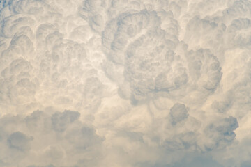 clouds with beautiful textures, cumulus at sunset