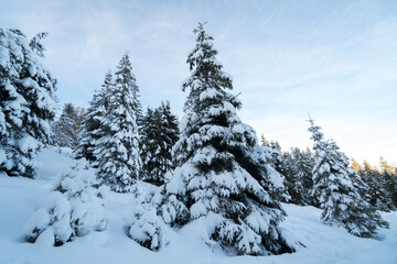 Beautiful 2021 winter landscape view in the Carpathian Mountains, Romania