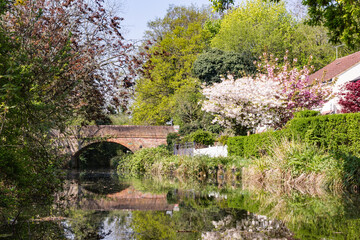 Fototapeta na wymiar Basingstoke Canal on a warm sunny spring day near Woking