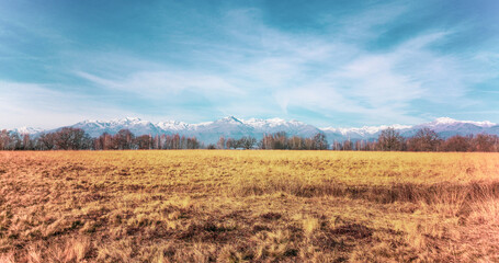 Landscape of the Italian Savannah of Baraggia, view of alps in the background.  Baraggia Natural Reserve, Candelo Biella Italy - obrazy, fototapety, plakaty
