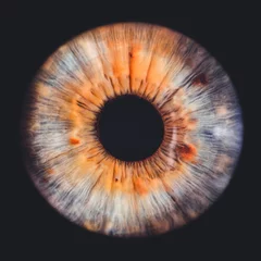 Schilderijen op glas oog iris © Lorant