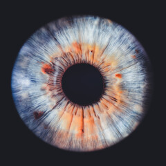 eye iris