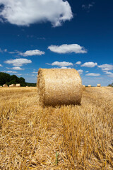 Fototapeta na wymiar haystacks of rye straw