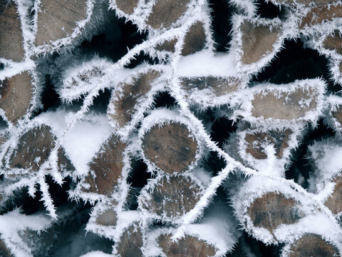close up of a pile of logs covered with snow and ice