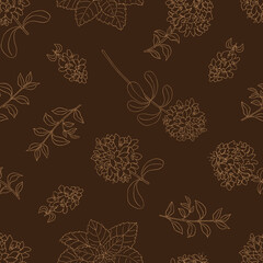 Medicinal herbs collection. Vector hand drawn seamless pattern with thymus and pepper mint plants on a dark brown background