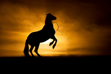 Fototapeta premium Horse silhouette on orange smokey back ground