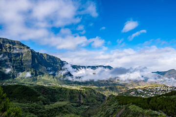 Scenic view of trees and mountains