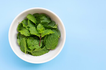 Bowl of mint leaves on blue background. Copy space