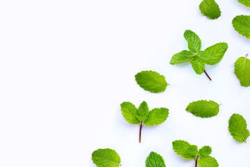 Fresh mint leaves isolated on white background. Copy space © Bowonpat