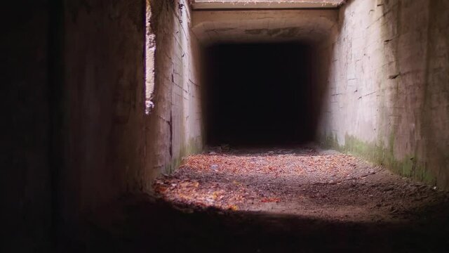 Well- lit part of abandoned tunnel as entrance into mine where uranius was mined. Scary view of dark place.