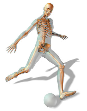 Digitally generated image of human representation playing soccer ball with human skeleton visible