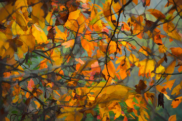 Colorful Autumn Leaves Background Illustration