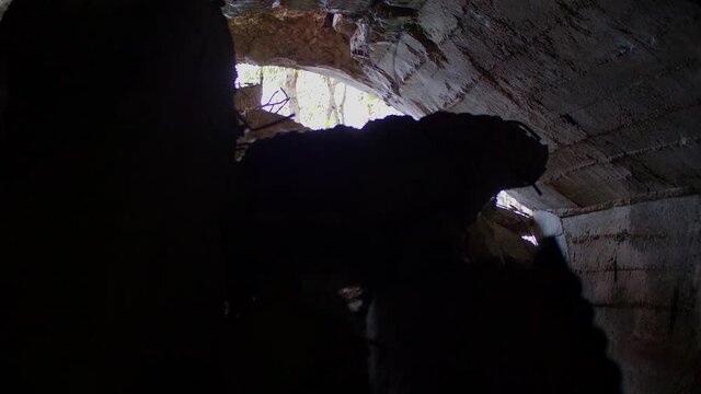 View from inside entrance into mine tunnel. Blocked way out.