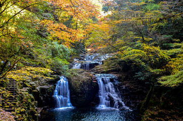 Plakat river with trees changing color during autumn in japan