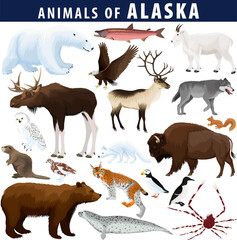 Naklejka premium vector set - animals of Alaska: polar bear, bald eagle, moose, lynx, beaver, crab, fox, owl, seal, bison, bear, mountain goat, reindeer, wolf