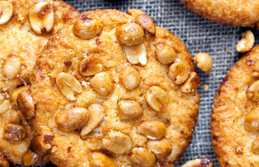 crunchy cookies with roasted peanuts