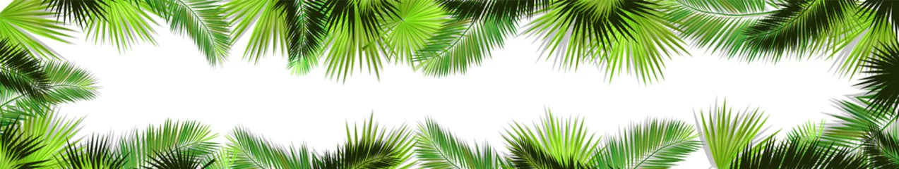 Poster A Long horizontal frame of palm leaves. Hello summer. Vector illustration © Мария Неноглядова