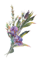 Bouquet of blue tropical flowers with green leaves and herbs. Isolated on white.