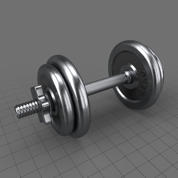 Dumbbell handle with weights