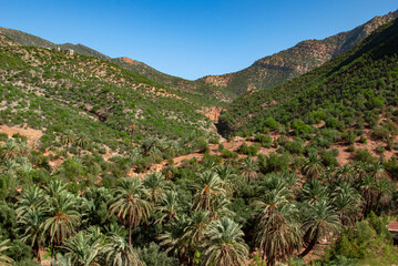 Fototapeta na wymiar a natural location called paradise valley located north of the city of Agadir 