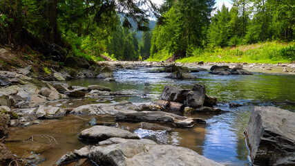 Closeup of wet rocks and calm flowing water on the beautiful mountain river flowing through pine forest