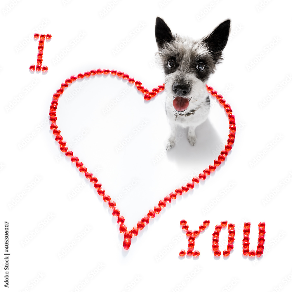 Wall mural dog valentines love heart