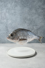Сreative photo fish dorado or sea bream in the air levitation Healthy food concept